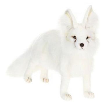 General for store1 Arctic Fox