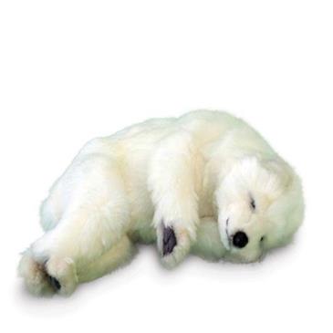 General for store1 Polar Bear Cub Sleeping