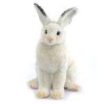 General for store1 Small White Rabbit